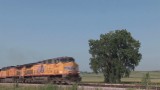 What railroads tell us about the economy
