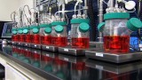 How Novartis develops blockbuster drugs